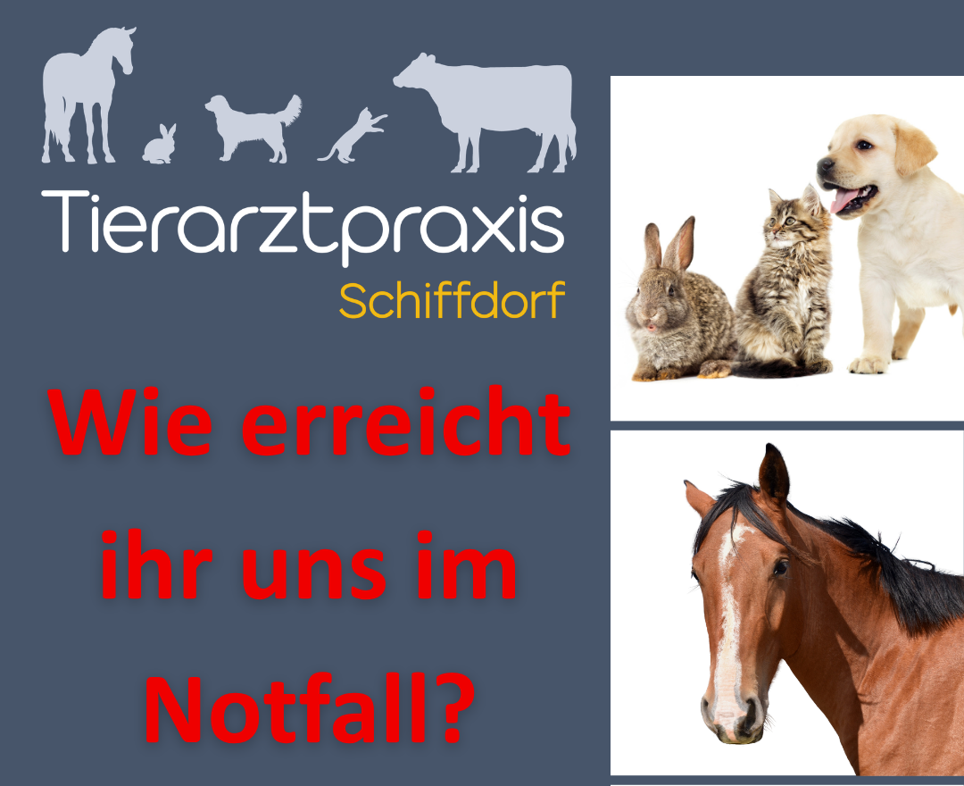 Erreichbarkeit im Notfall